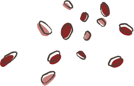 マキ屋紅こうじ MAKIYA'S BENIKOUJI